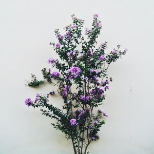 Meet your Posher, Mariana